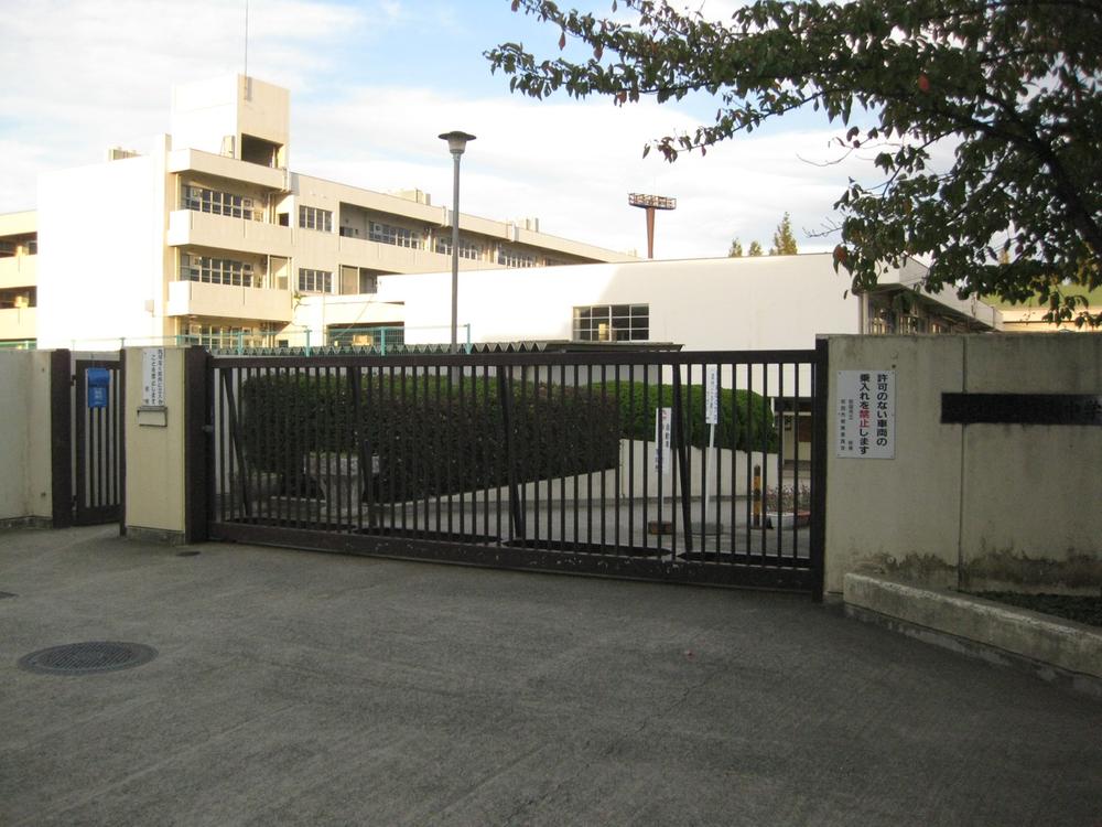 Other local. Local (10 May 2013) Shooting