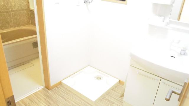 Wash basin, toilet. Dressing room