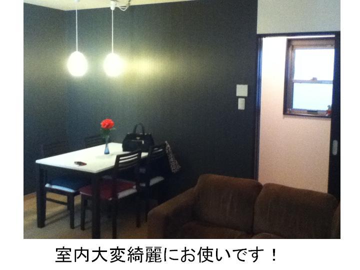 Living. Indoor (10 May 2013) Shooting