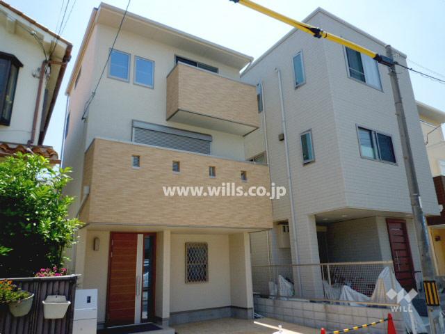 Local appearance photo. Property appearance (from the north)