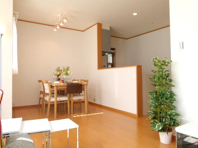 Living. Indoor (September 2013) Shooting