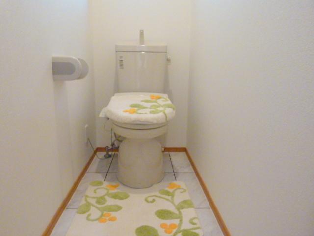 Toilet. Indoor (September 2013) Shooting