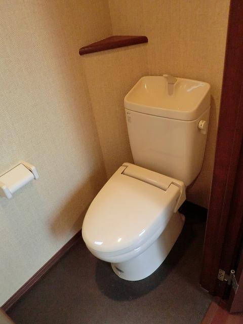 Toilet. Indoor (05 May 2013) Shooting