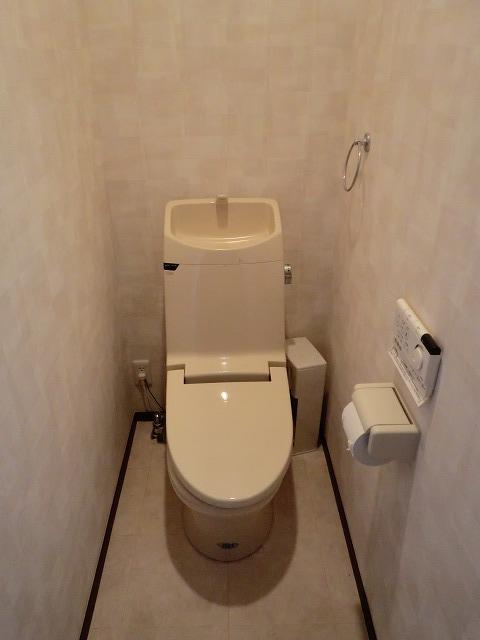 Toilet. Indoor (05 May 2013) Shooting