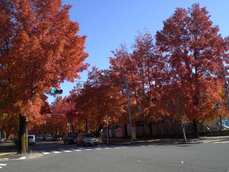 Streets around. 508m until the third color road