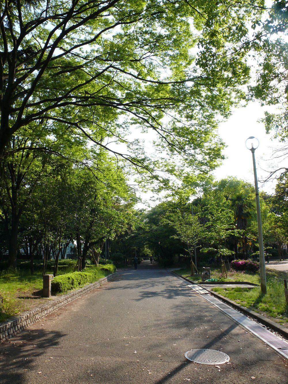 park. 1050m to Nakanoshima Park  [14 mins] In a large park, which is also the site area 64000 sq m is, Tennis courts and a baseball field, Lawn corner and children corner, There is also a swimming pool. It is also nice barbecue on holiday.