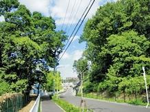 Round Hill ・ Sidewalk along the load will be the school route to elementary school. Local north, Path is provided so as to sew in the natural forest. Perfect for a walk course of dog! (About 10m)