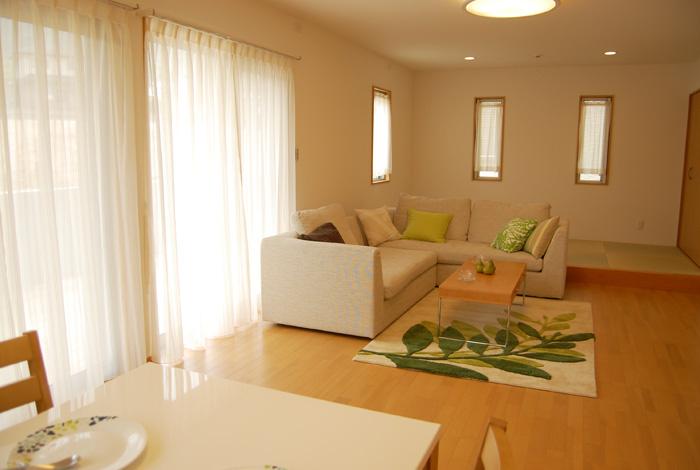 Other. It is the example of construction of living. It is good for such land but using the blow-by.