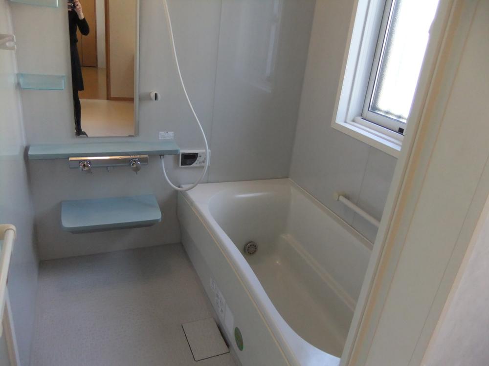 Bathroom. Local (12 May 2013)