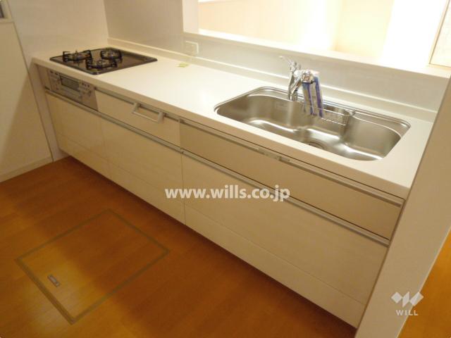 Same specifications photo (kitchen)