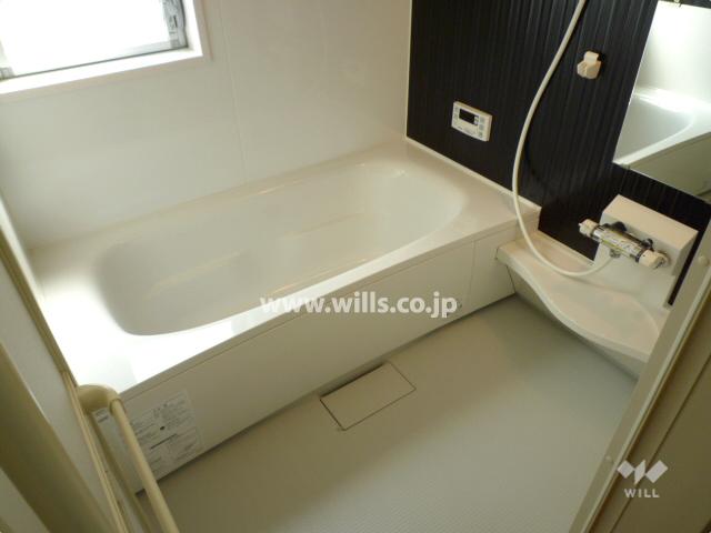 Same specifications photos (Other introspection)