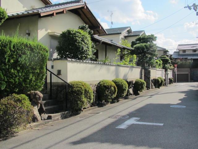 Local land photo. Local (12 May 2013) Shooting