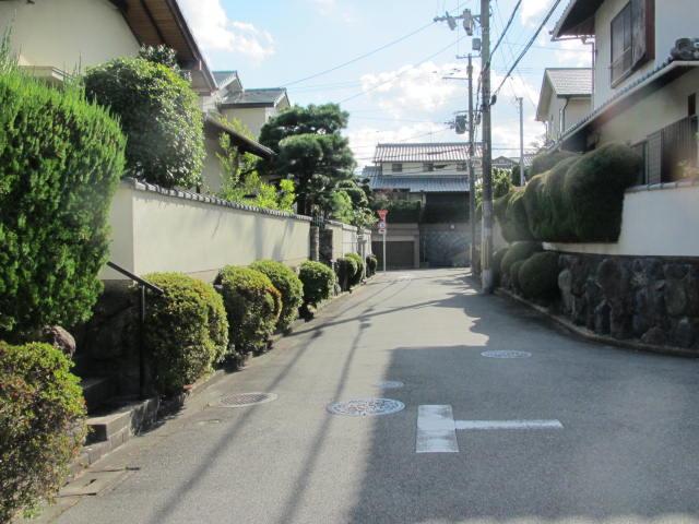 Local photos, including front road. Local (12 May 2013) Shooting