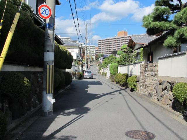 Local photos, including front road. Local (12 May 2013) Shooting