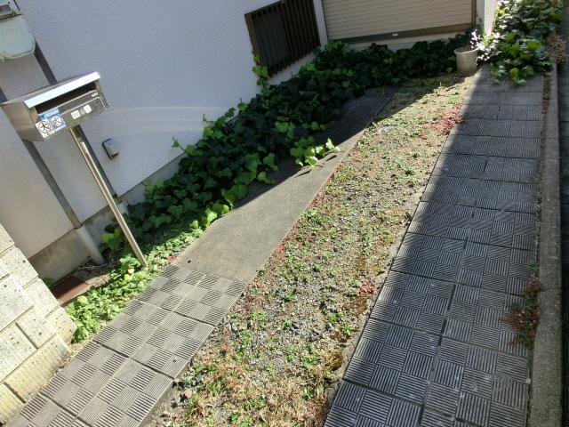 Parking lot. Parking spaces back part is the wide range of. 