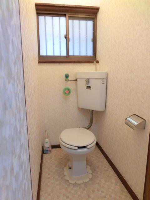 Toilet. Local (11 May 2013) Shooting