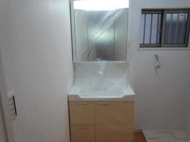 Wash basin, toilet. Vanity with shower