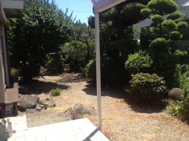 Garden. Local (June 2013) Shooting