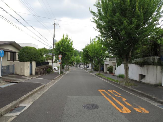 Local photos, including front road. local