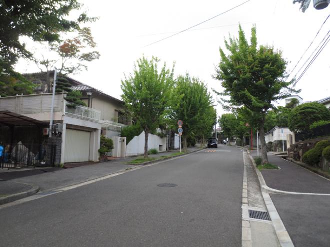 Local photos, including front road. local