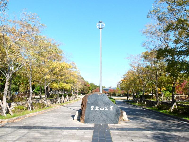 Other local. Neighborhood park. 