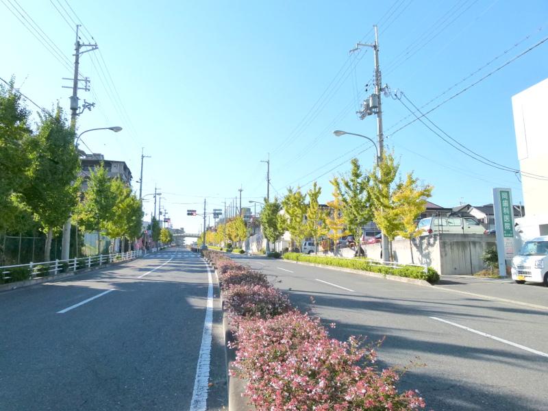 Other local. It is the atmosphere of Saidera. 