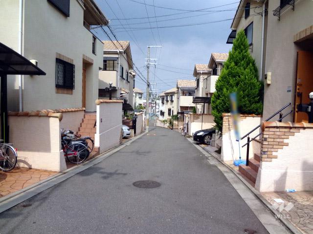 Local photos, including front road