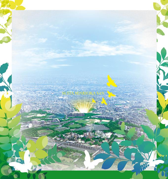 aerial photograph. Gentle south terraced  106 compartment Big Town!