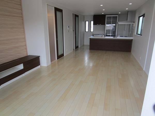 Living. Room (August 2013) Shooting