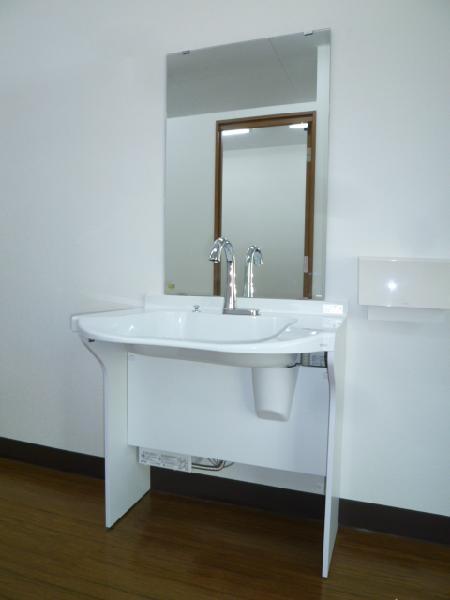 Wash basin, toilet. Indoor (10 May 2013) Shooting