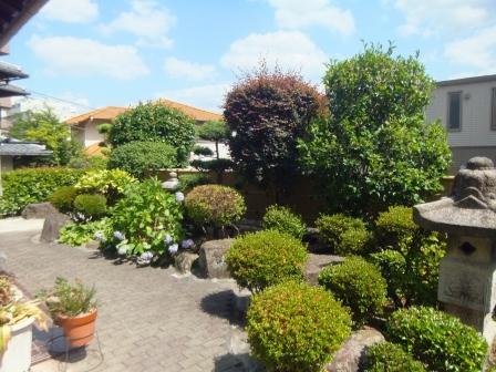 Other local. Local garden (June 2013) Shooting 