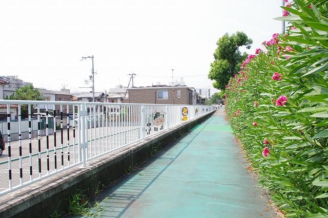 Other local. Local (August 2013) Shooting