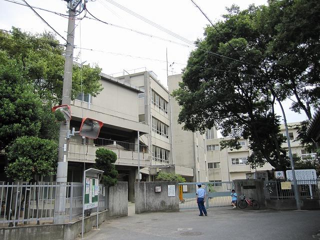 Primary school. 530m to a high positive elementary school