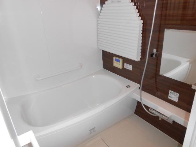 Bathroom. Indoor (10 May 2013) Shooting