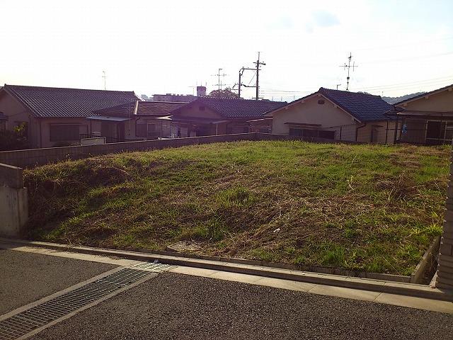 Local land photo. Local Photos