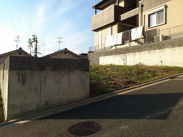 Local land photo. Local Photo 2