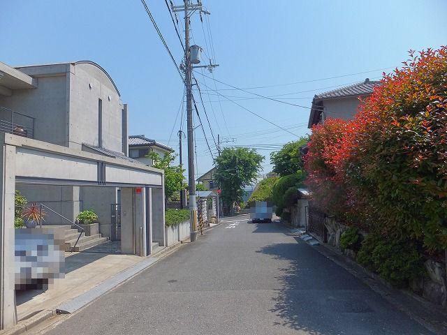 Local photos, including front road. Frontal road