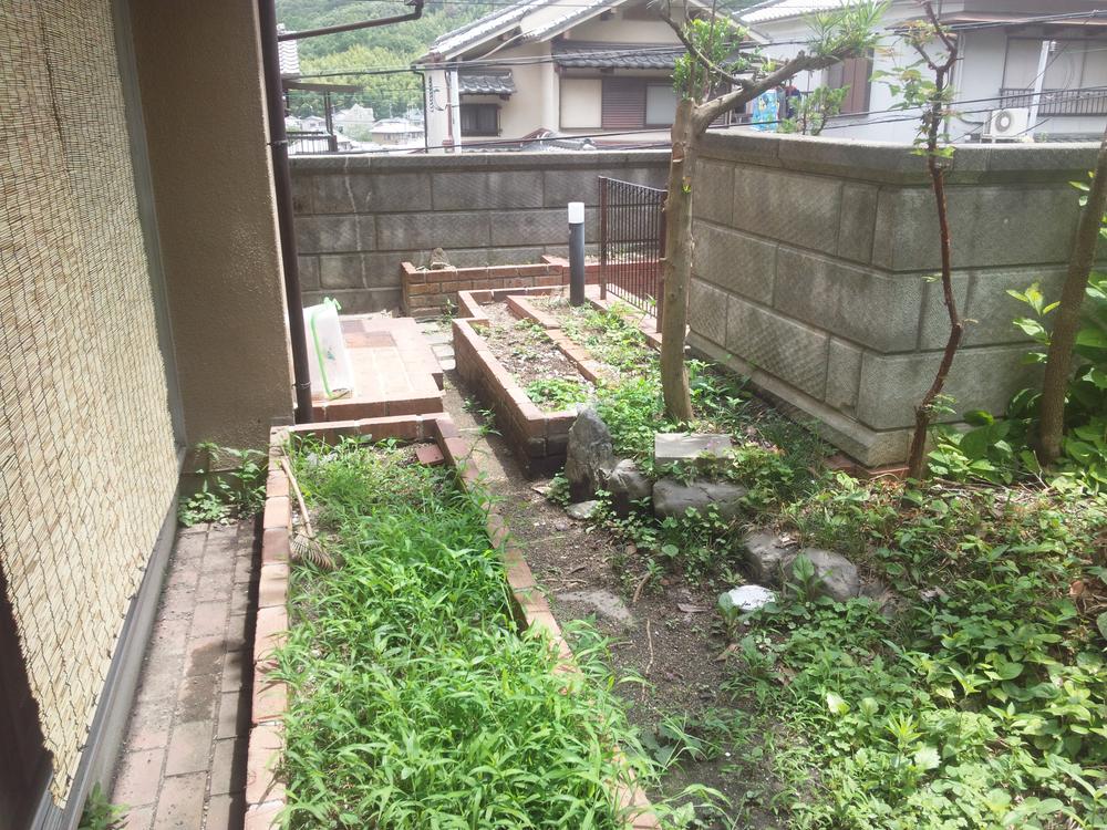 Garden. Local (July 2013) Shooting