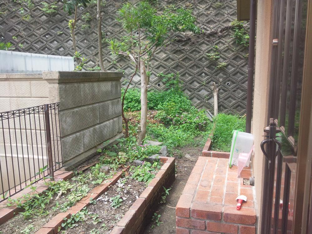 Garden. Local (July 2013) Shooting Near the entrance