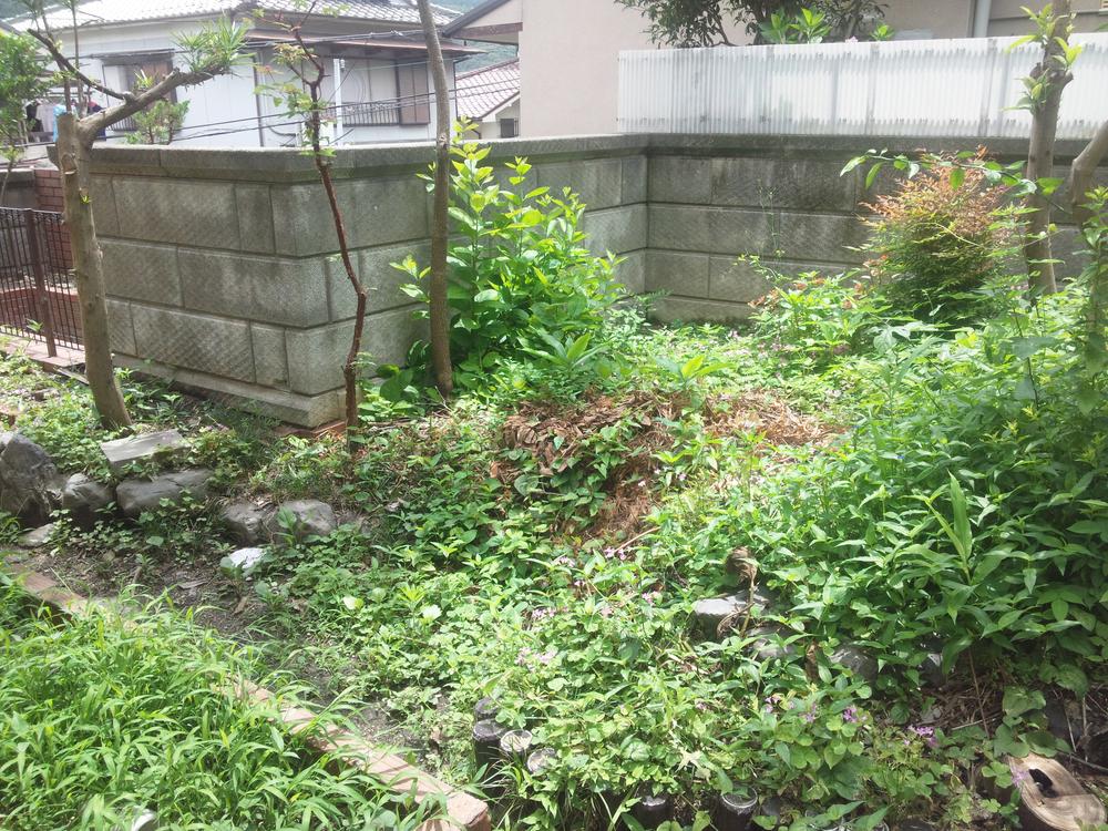 Garden. Local (July 2013) Shooting