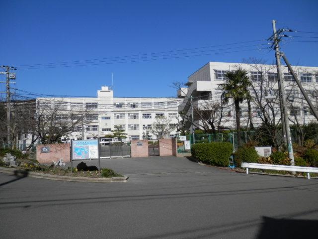 Other. Eighth Junior High School