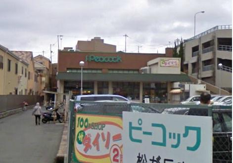 Other. Daimarupikokku Matsugaoka shop