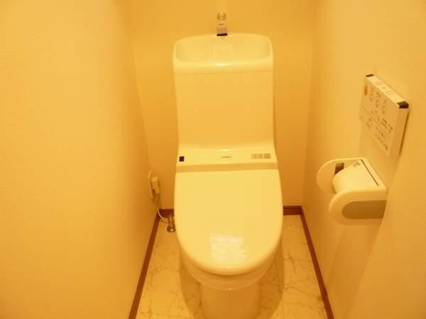 Toilet. First floor toilet