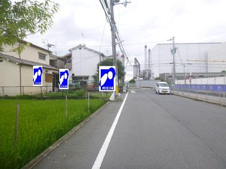 Local photos, including front road. Facing west, Road width is about 5m. It is open so we have vacant north