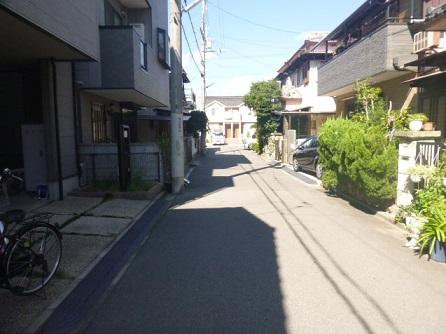 Local photos, including front road. We are facing on the east side of the road. We are facing about 7.2m into contact with the road width of about 4.7m.