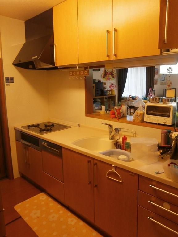 Kitchen. Indoor (10 May 2013) Shooting