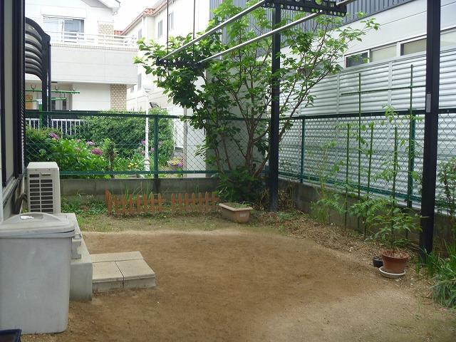 Garden. Local (June 2012) shooting