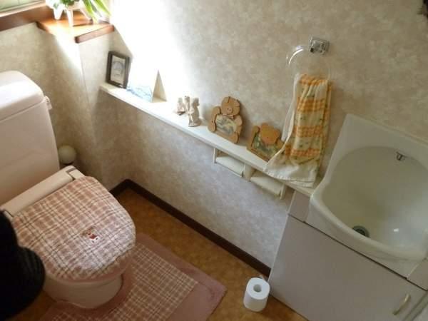 Toilet. First floor toilet with hand washing counter