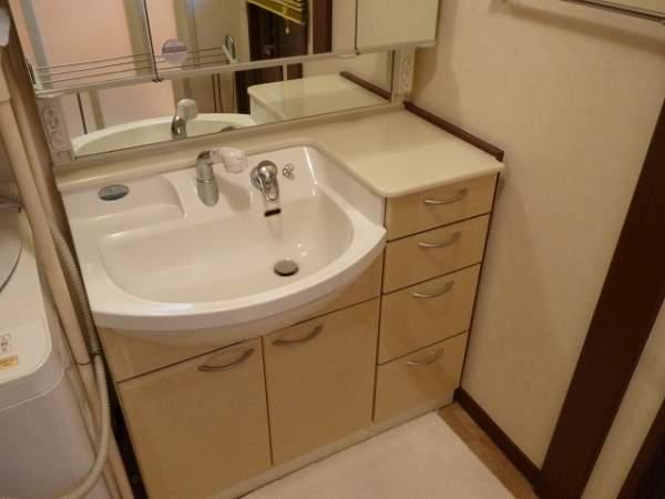 Wash basin, toilet. Storage capacity rich vanity