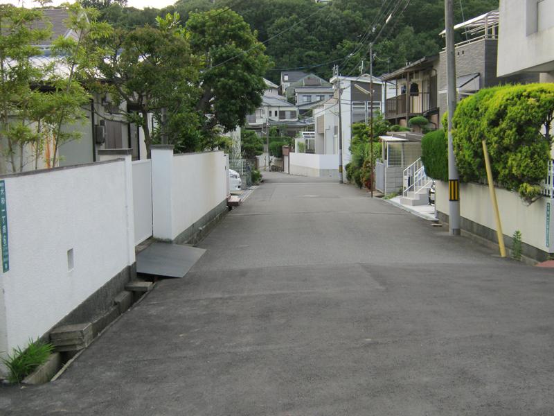 Local photos, including front road. Local (12 May 2012) shooting